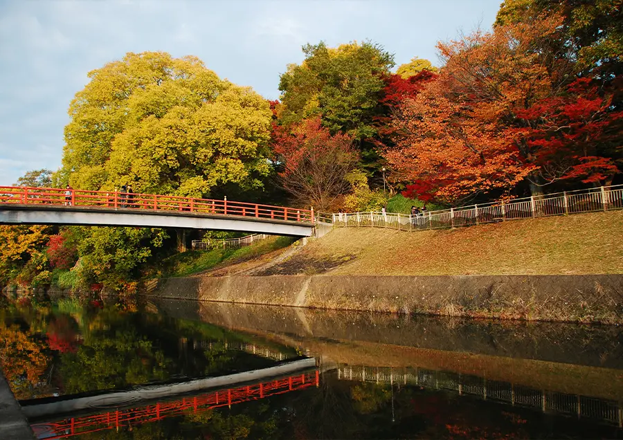 【竜田川の紅葉（秋）】古くから多くの歌でも詠まれる紅葉の名所。百人一首でも詠まれる古の絶景をお楽しみください。