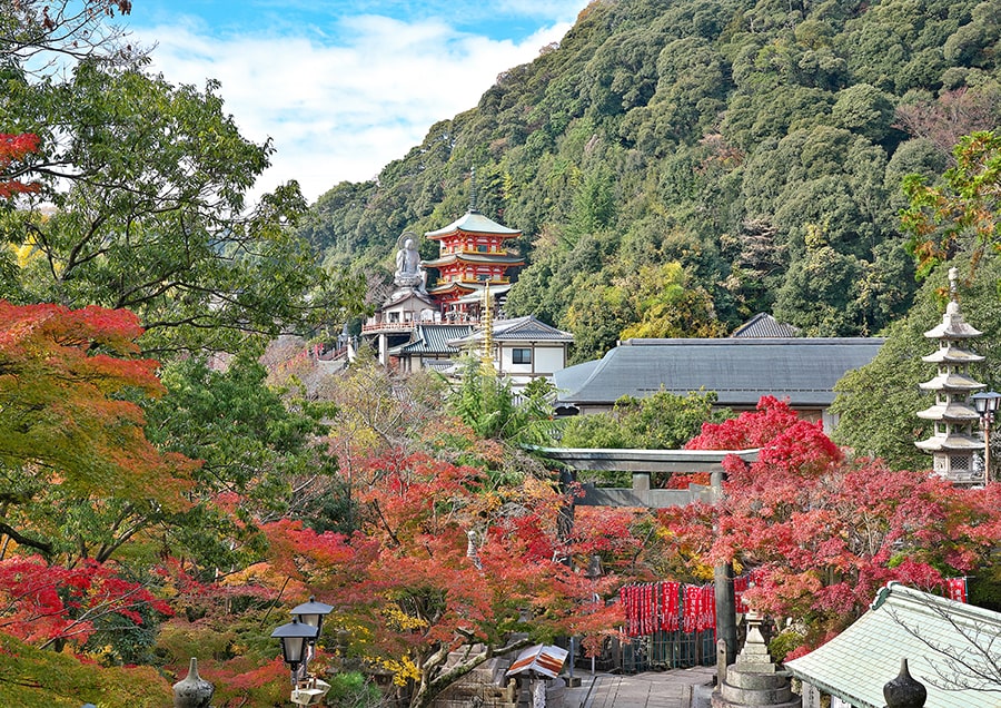 【信貴山朝護孫子寺の紅葉（秋）】聖徳太子建立とも伝わる奈良の古刹。伽藍が連なる境内を中心に、山全体を約1,000本のモミジが彩ります。