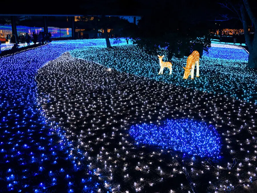 【奈良公園周辺（なら瑠璃絵）】例年2月の上旬に開催される奈良公園の一大イベント。春日大社、東大寺、興福寺の三社寺が幻想的な光の回廊で結ばれ、瑠璃色に彩られた奈良公園を散策できます。
